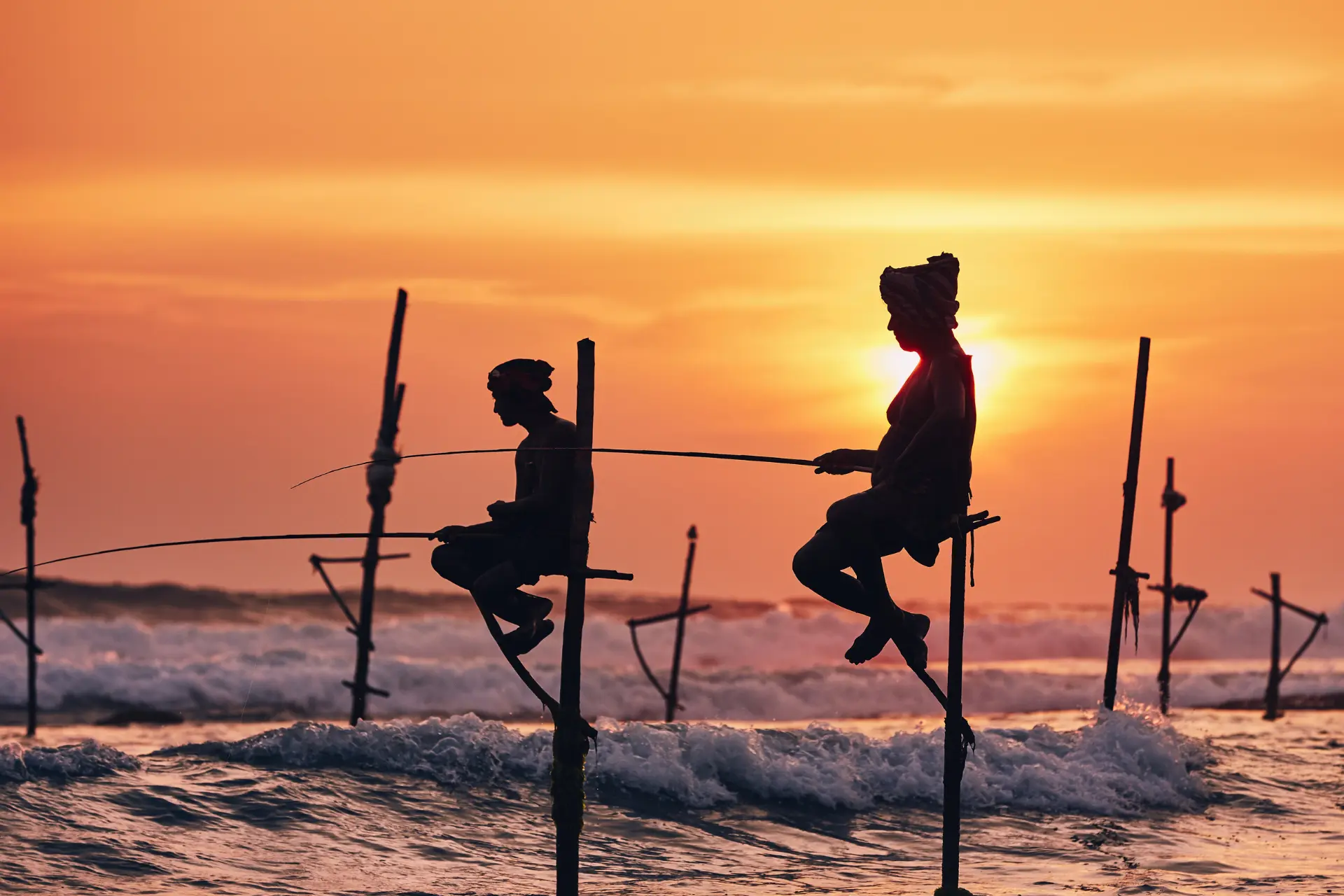 Fiskere på pæle på Sri Lanka