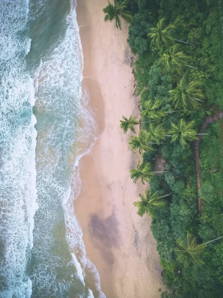 Hav, strand og jungle på fra Sri Lanka