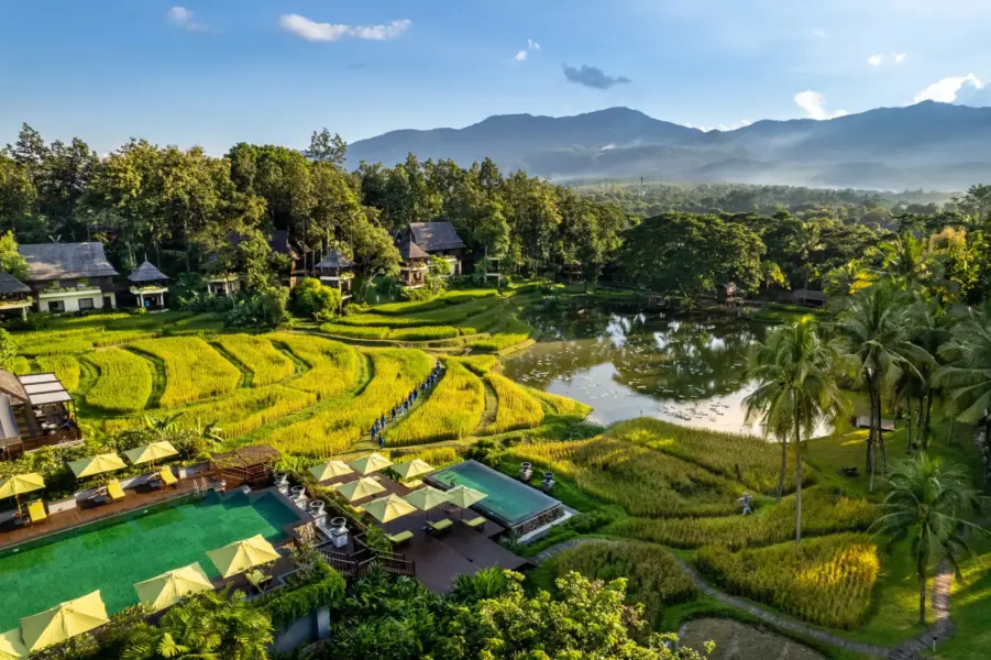 pool og rismark på Four Seasons Chang Mai i Thailand