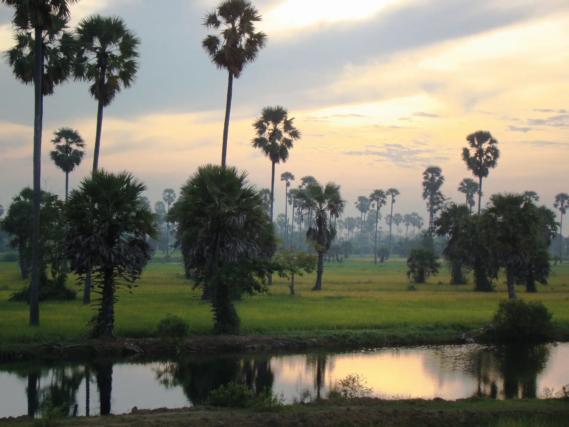 Udsigt fra Eastern Oriental Express, A Belmond Train, Togrejser, Asien
