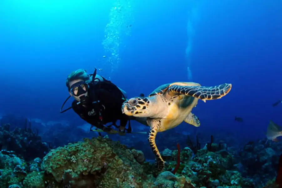 Scuba dykning Colombia Beach Resort, Cypern