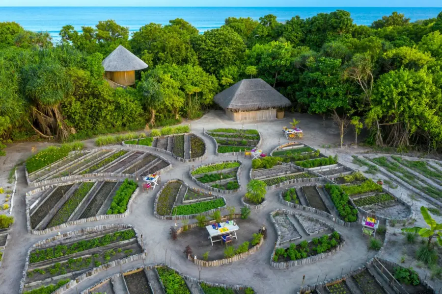 Restaurant So Wild Soneva jani, Maldiverne