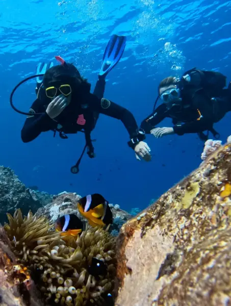Snorkling på One&Only Le Saint Géran på Mauritius