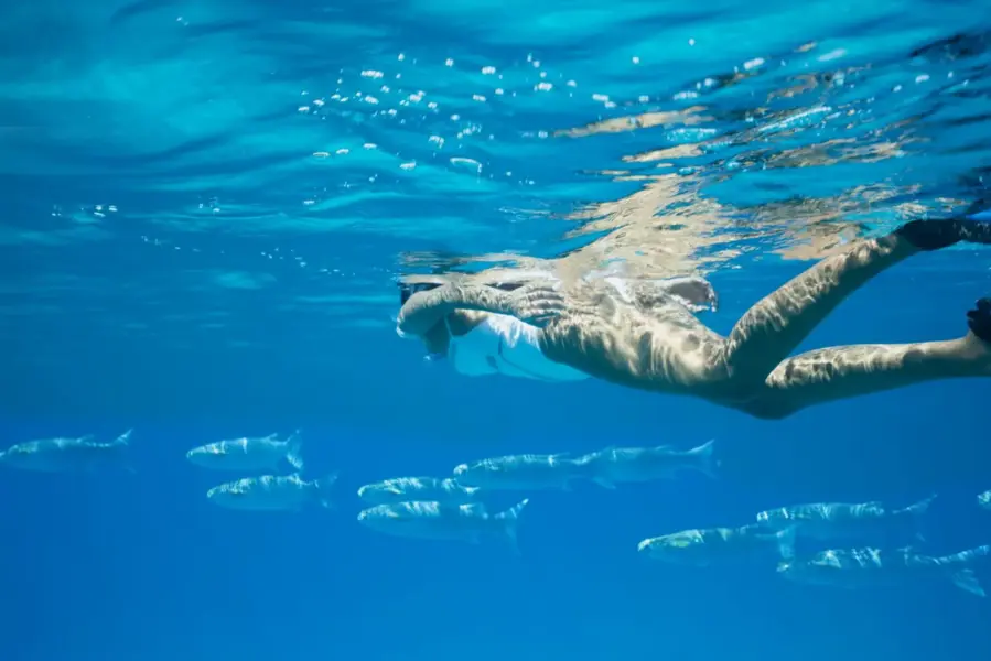 snorkling på Raffles Seychelles, Seychellerne