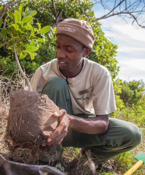Det bæredygtige Grootbos Private Nature Reserve i Sydafrika støtter det lokale samfund