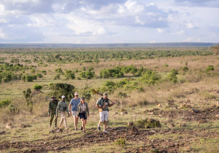 Gåtur ude på savannen på Little Govenors Camp i Kenya