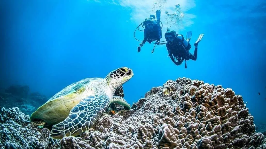 Dykning på Nomad Beach resort i Kenya