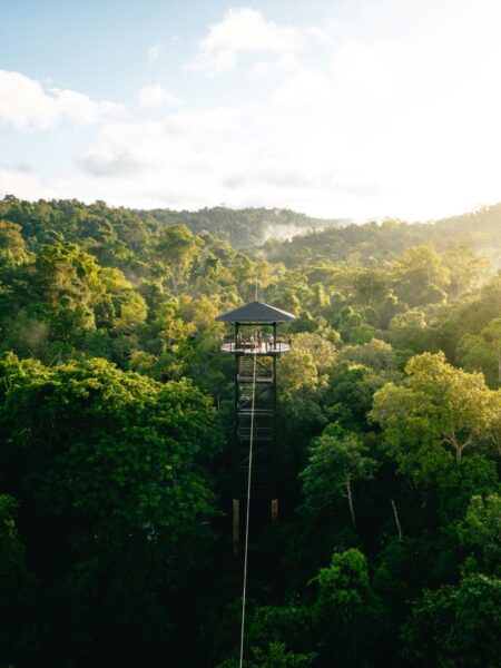 Zipline på Shinta Mani Wild, Cambodia