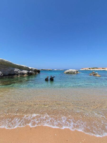 Dykning og snorkling under ferien på Cap St Georges Hotel & Resort, Cypern