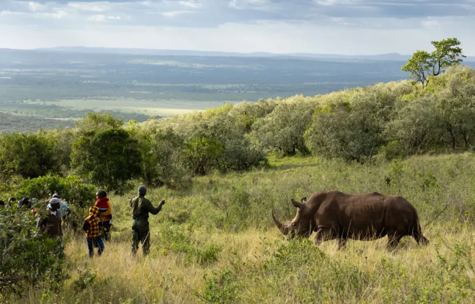 Rhino tur på House in the wild i Kenya
