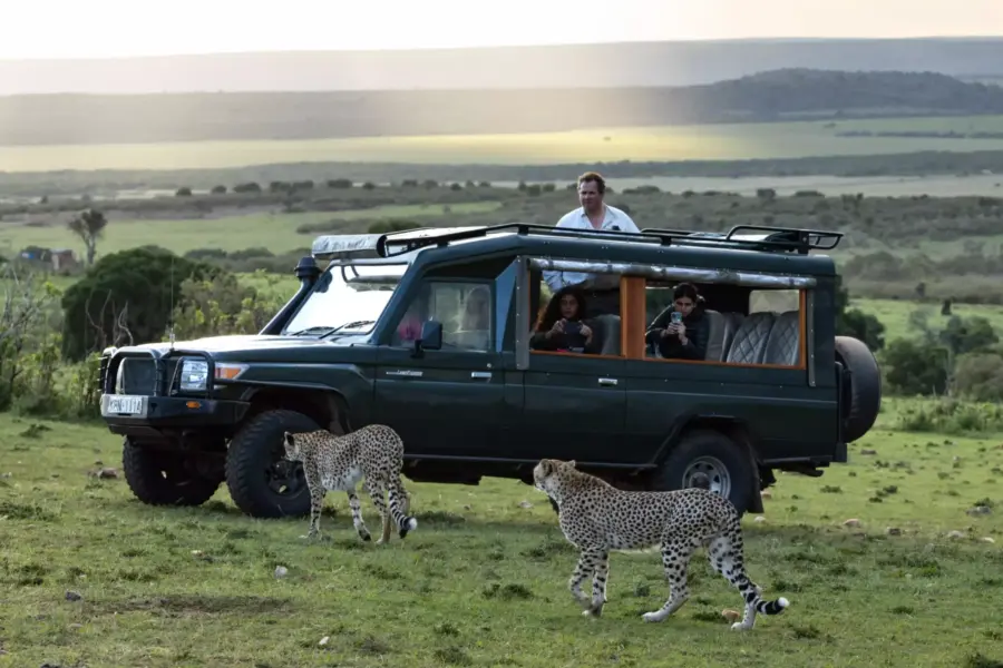 Jeep tur på House in the wild i Kenya