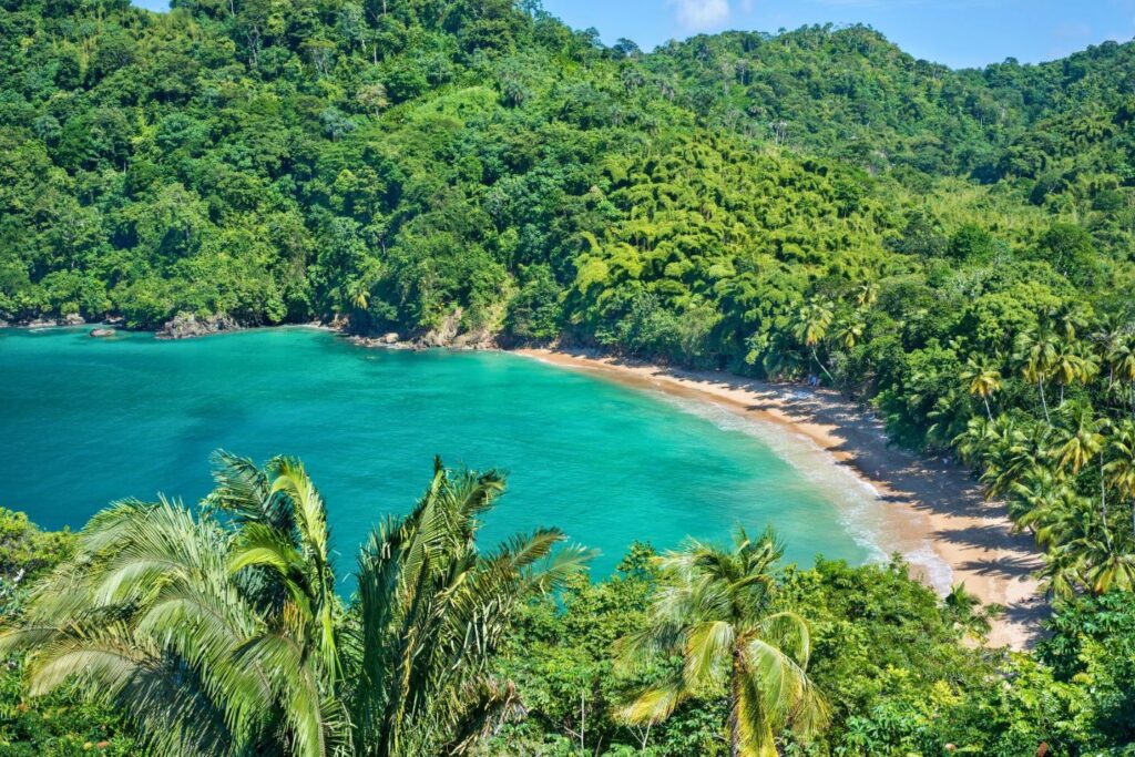 Englishman Bay Beach, Tobago, Caribien