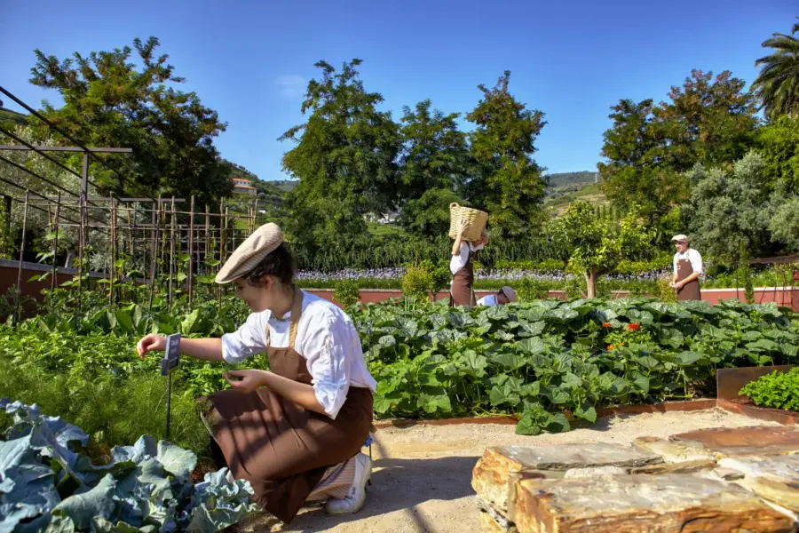 Organic garden tour på Six Senses Douro Valley, Portugal