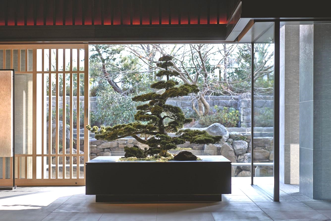 Smukt bonsai på The Ritz-Carlton, Kyoto, Japan