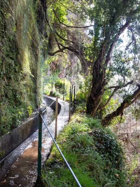 Levada vandring på Madeira