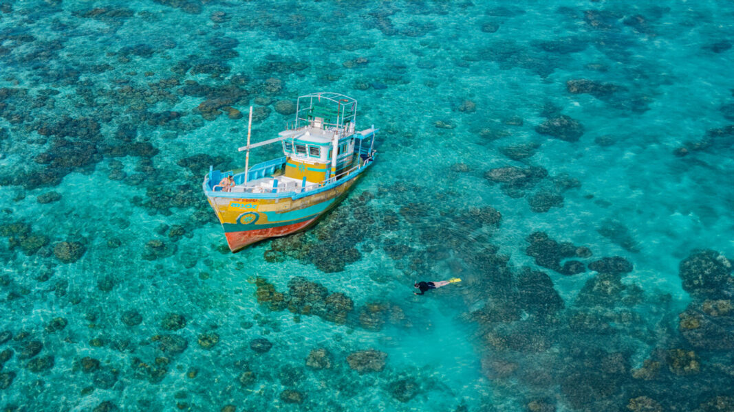 Tag ud og snorkle eller dyk på Soneva Secret, Maldiverne