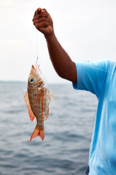 Tag med på fisketur på One&Only Reethi Rah, Maldiverne