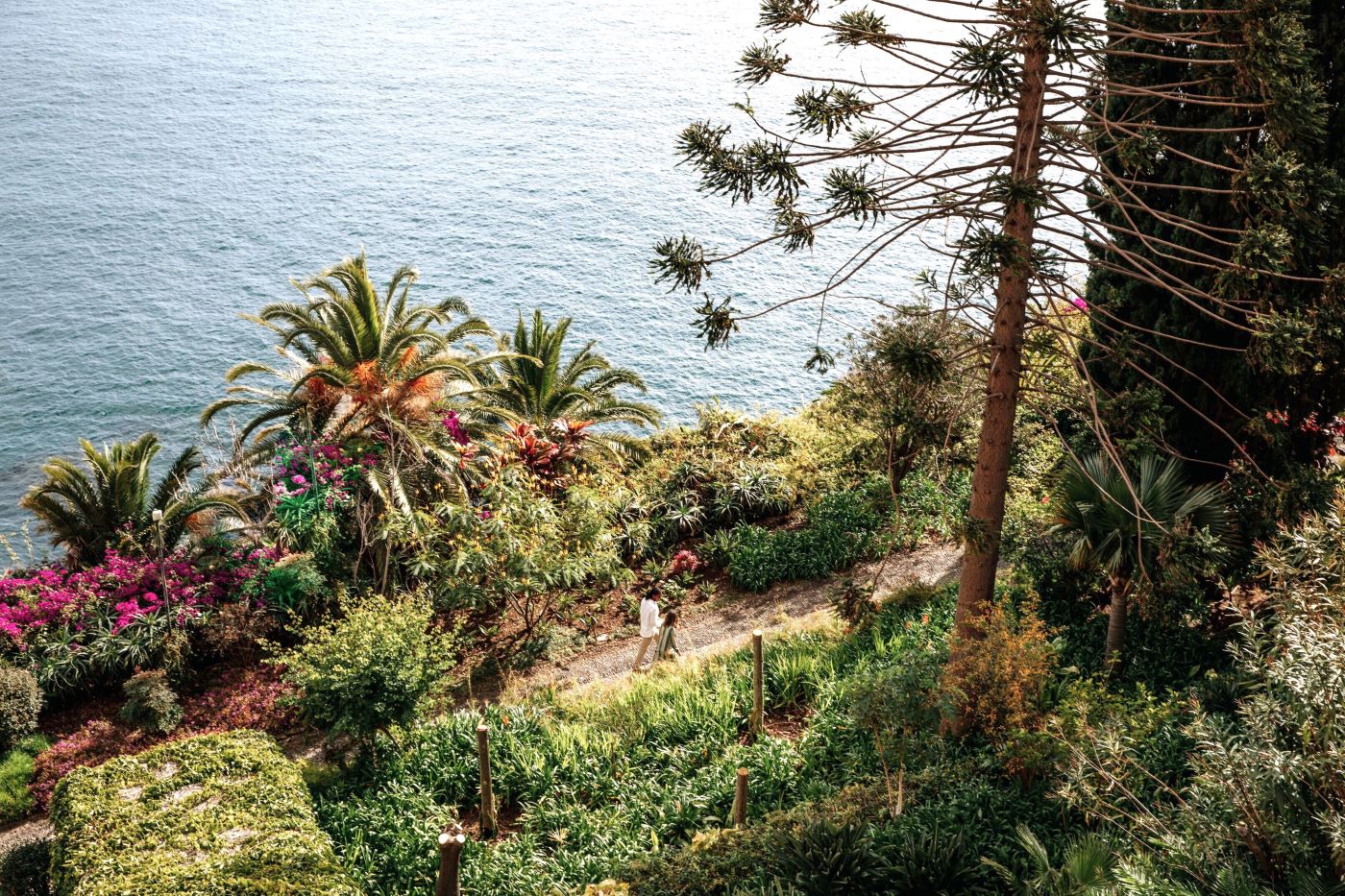 Ny den smukke have på Reid's Palace, A Belmond Hotel, Madeira