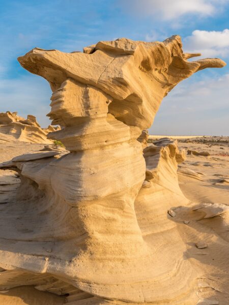 Fossile klitter i Al Wathba, Abu Dhabi