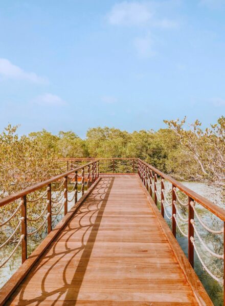 Mangrove National Park i Abu Dhabi