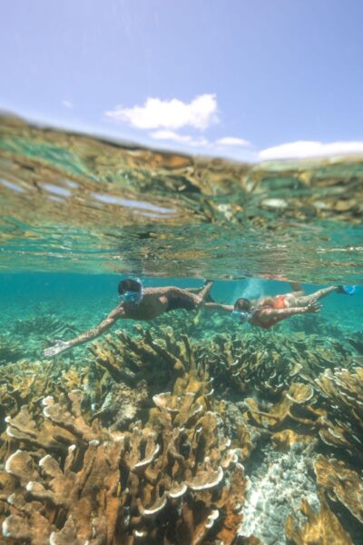 Snorkling ved Rosewood Le Guanahani St. Barth, Caribien