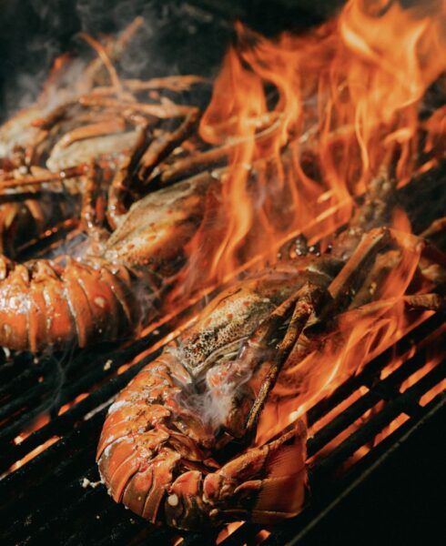 Grillet hummer i restauranten Sugar Mill på Rosewood Little Dix Bay, Virgin Gorda, Caribien