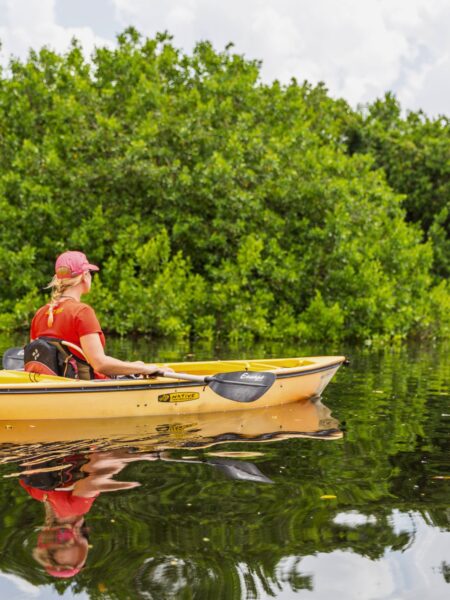 Kvinde i kajak i mangrove