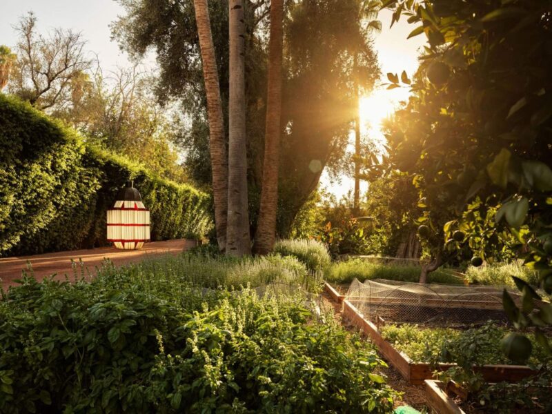 Køkkenhaven i haven på La Mamounia, Marrakech, Marokko