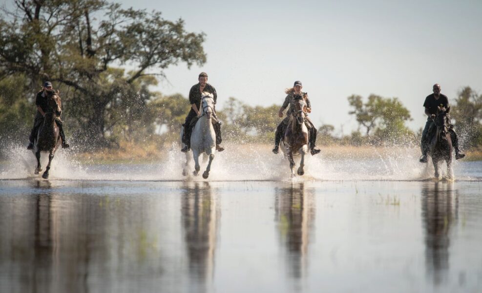 Ridning på Eagle Island Lodge, a Belmond Safari, Botswana