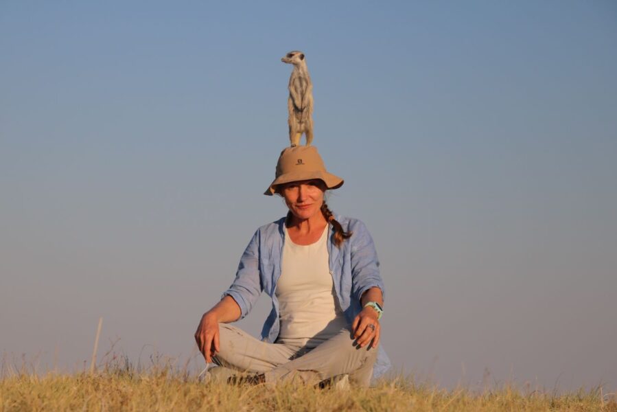 Udflugt til surikater, San Camp, Botswana