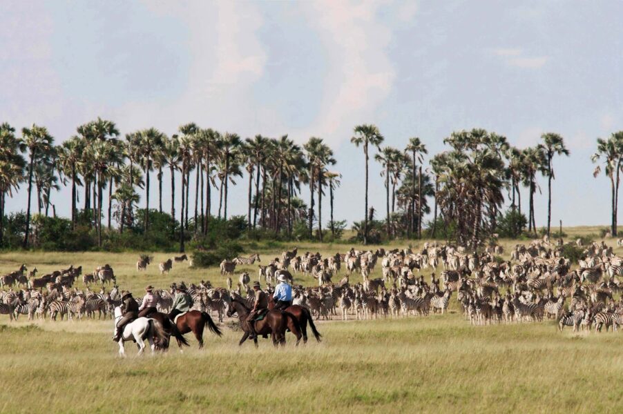 Safari på hest, San Camp, Botswana
