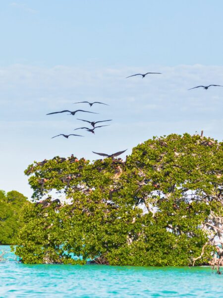Naturreservatet Sian Ka'an på Yucatan-halvøen i Mexico