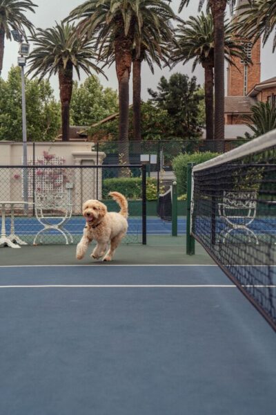 Tennis, Mount Nelson, A Belmond Hotel, Cape Town, Sydafrika